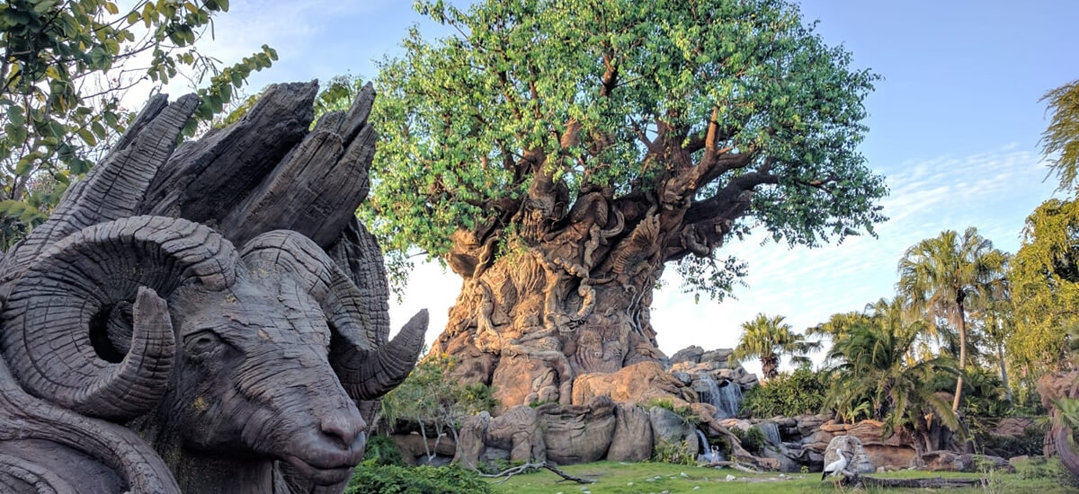 An expert's guide to Disney's Animal Kingdom Theme Park