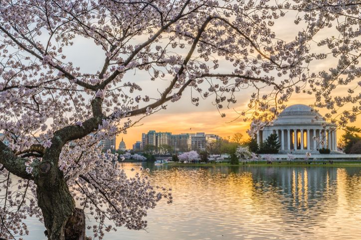 Washington DC Holidays & City Breaks 2024/2025  Virgin Atlantic Holidays